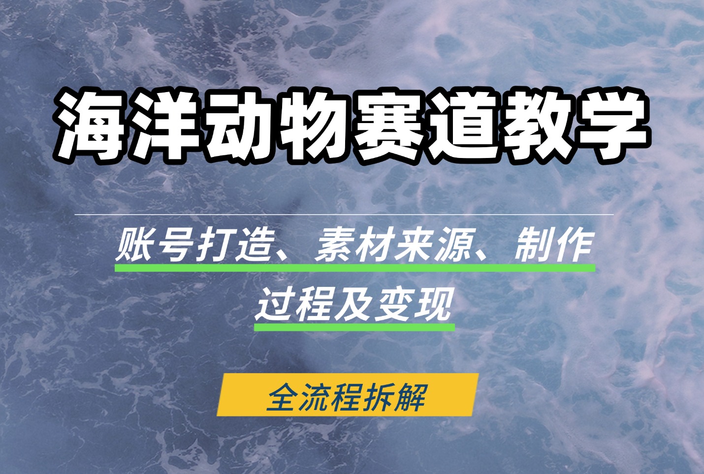 海洋动物赛道教学：账号打造、素材来源、制作过程及变现-众狼学堂