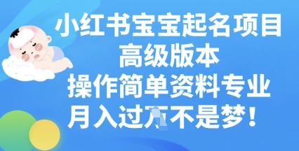 小红书宝宝起名项目高级版本，操作简单，资料专业，月入过W-众狼学堂