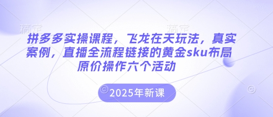 拼多多实操课程，飞龙在天玩法，真实案例，直播全流程链接的黄金sku布局原价操作六个活动-众狼学堂