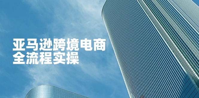 （14252期）亚马逊跨境电商全流程实操，教你从零开始，掌握店铺运营与广告技巧-众狼学堂