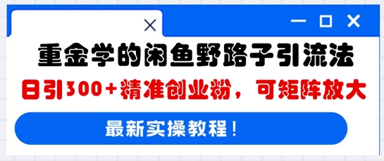 重金学的闲鱼野路子引流法，日引300+精准创业粉，可矩阵放大-众狼学堂