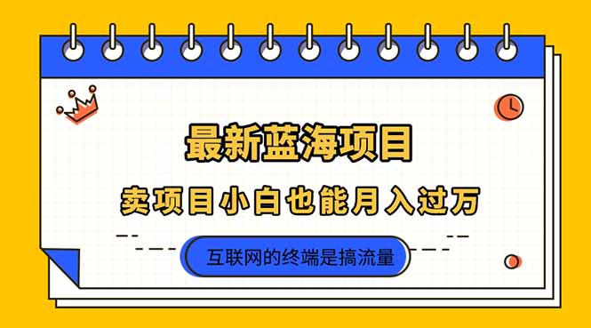 （14289期）2025年最新蓝海项目，卖项目小白也能月入过万-众狼学堂
