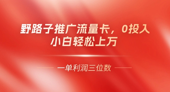 0门槛推广流量卡，一单收益上百，0投入，小白月入过W-众狼学堂