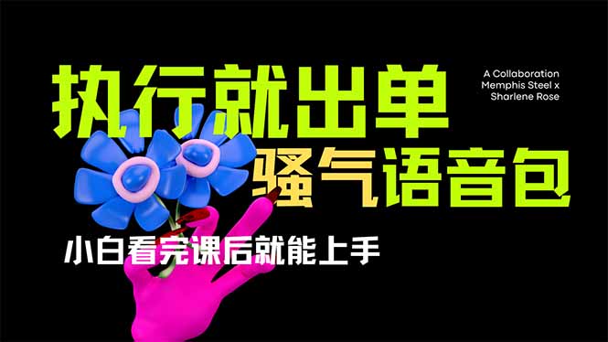 （14170期）爆火全网的开车导航骚气语音包,只要执行就出单，小白看完课程就能实操...-众狼学堂