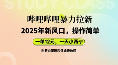 哔哩哔哩暴力拉新：2025年新风口，一单12元，一天数张(附开白渠道和保姆级教程)-众狼学堂